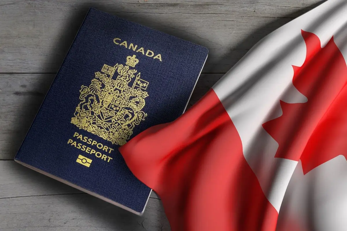 best canada immigration consultants in kerala